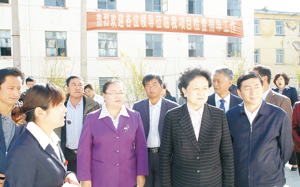 时任中央政治局委员，，，，，，，，国务院副总理、党组成员刘延东视察湖北热博RB88集团青海项目部