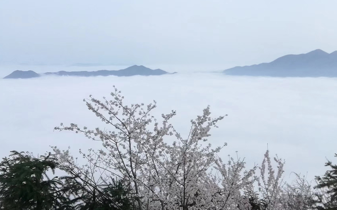 热博RB88·(中国区)有限公司官网